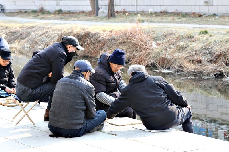 햇볕 아래에서 장기 두는 어르신들