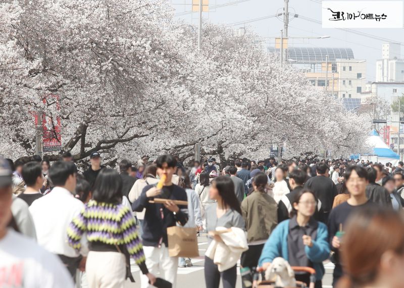 벚꽃축제를 찾은 시민들