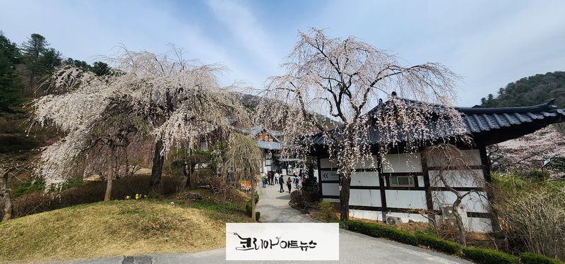 ▲ 사진제공 = 한국문학사랑신문 이사장 정해정