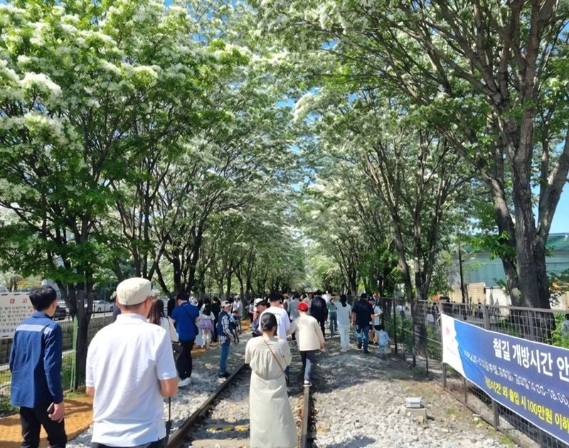 ▲ 전주시제공