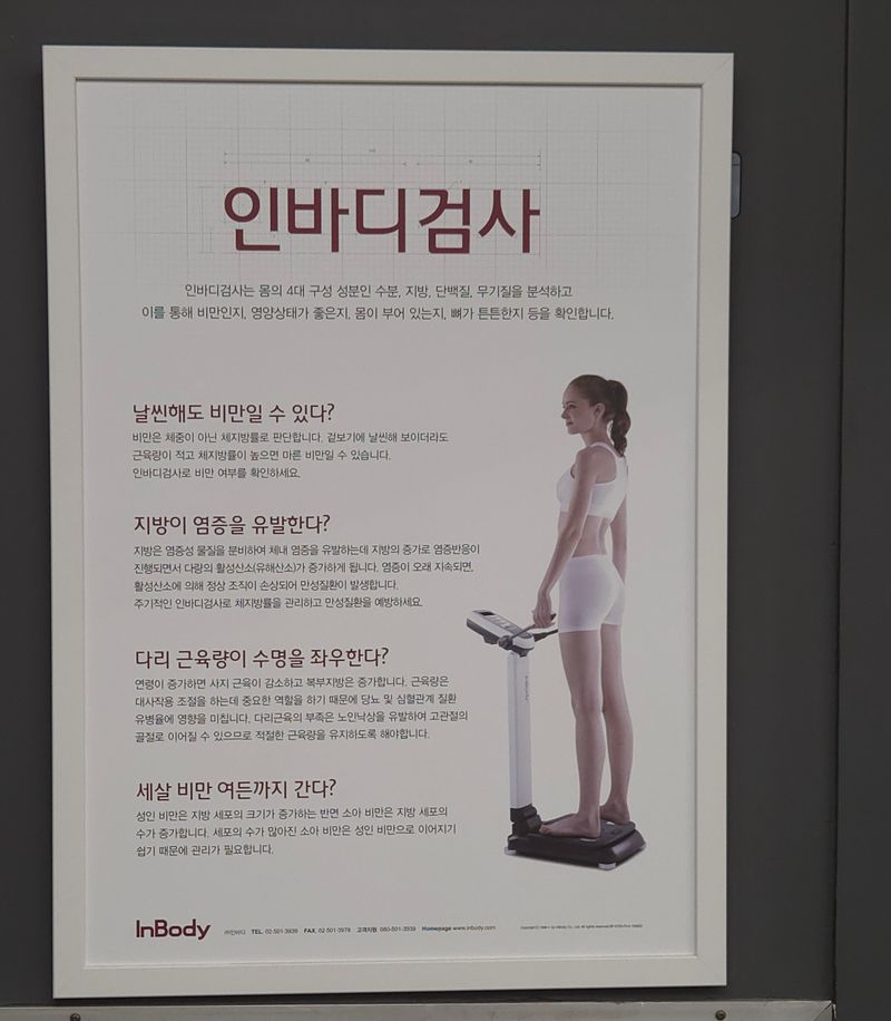 ▲ 이청강기자 제공