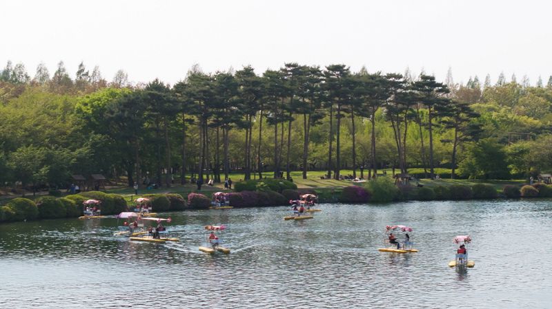 ▲ 수상꽃자전거 고양시제공