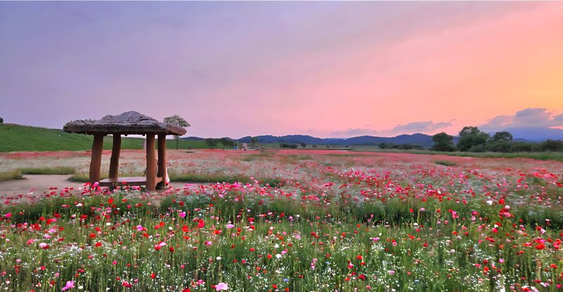 ▲ 함안군청 제공