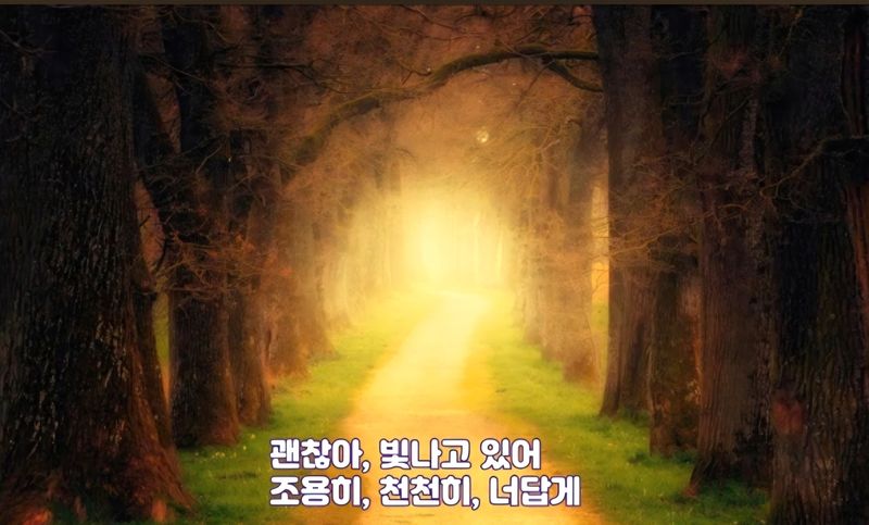 ▲ 이종희 작가의 음악 산책 : 바람에 흔들려도
