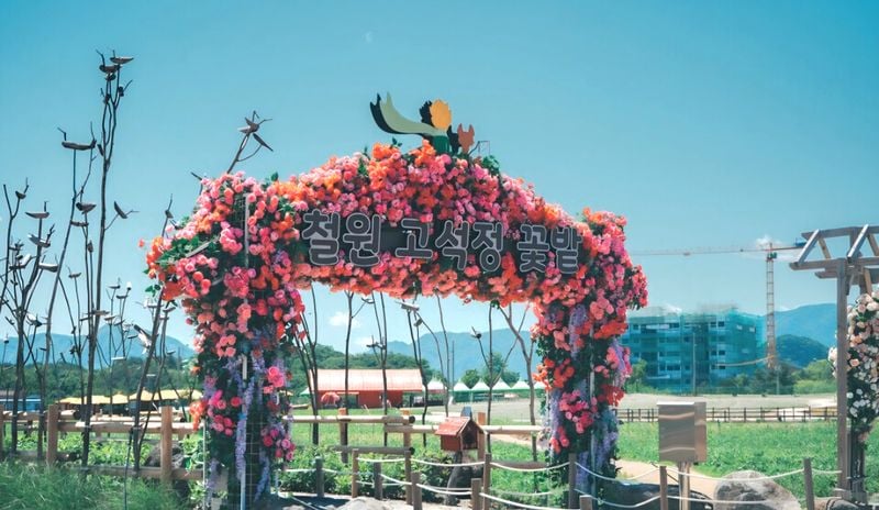 [KAN] 철원군, "고석정 꽃밭 보러오세요" [사진 : 철원군]