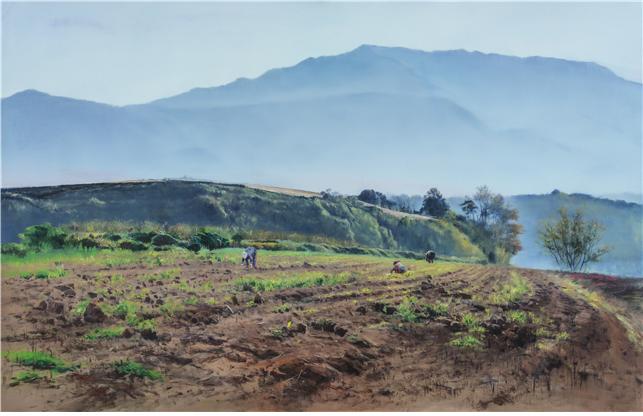 이영희, 추수밭, Oil on canvas, 100x65cm, 2024