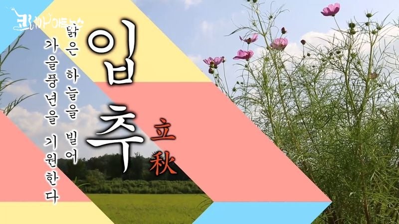 [KAN: 옴니버스 아트] 윤보영 시인의 <입추>, 그리고 계절 너머의 감성의 미학