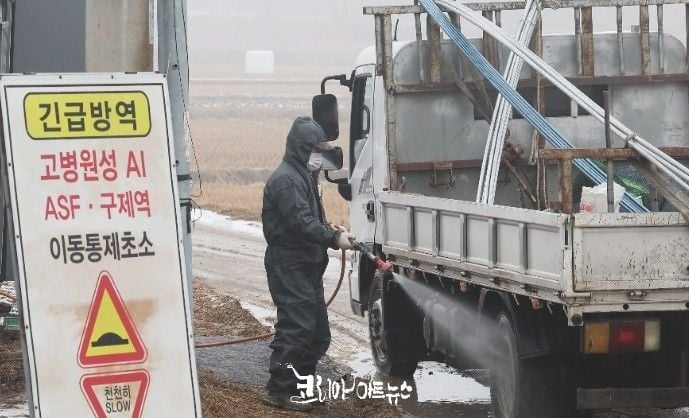  ’25~’26 동절기 가축전염병 특별방역대책 추진