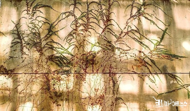 사진 설명이 없습니다.