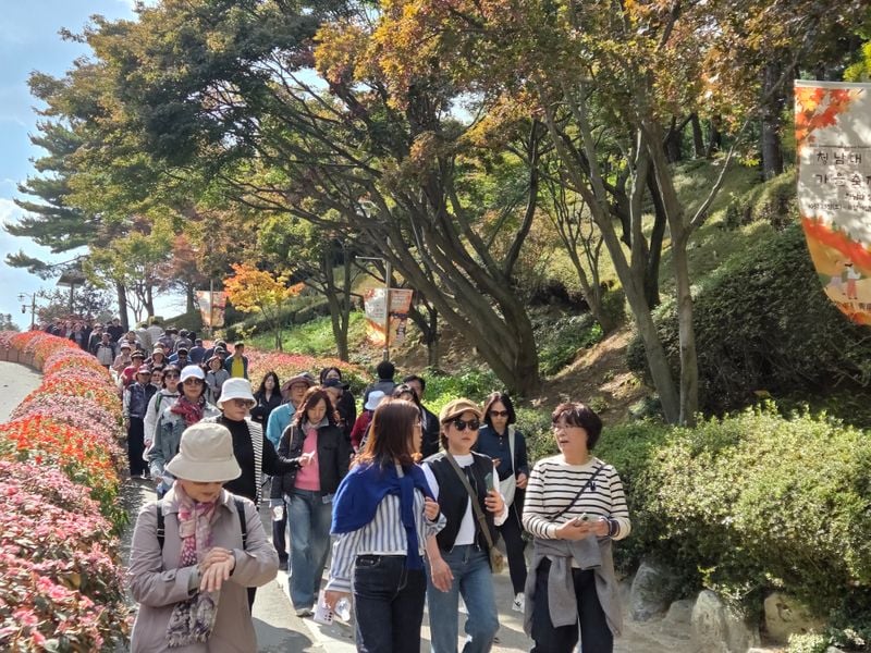  청남대 가을축제 인파