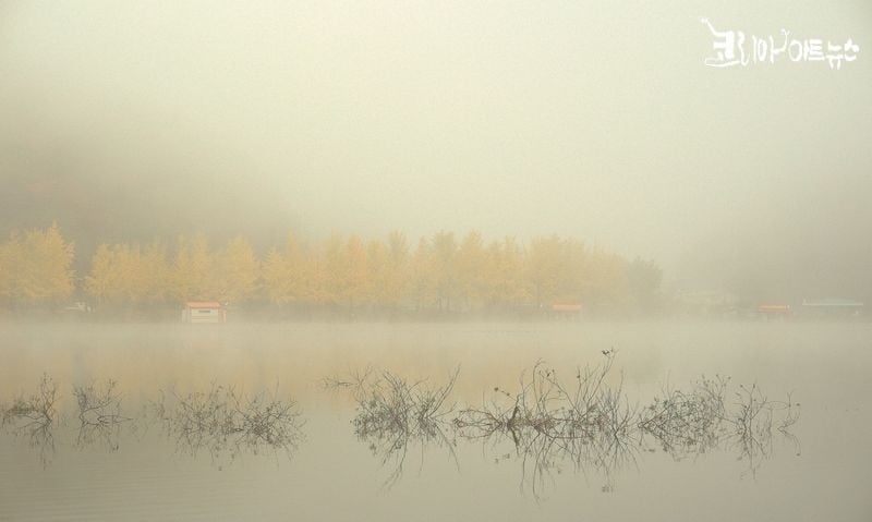 사진 설명이 없습니다.