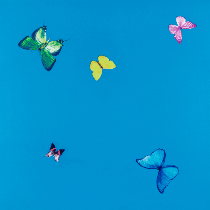 꿈(A Dream), 데미안 허스트, 2014년, 77 x 75cm