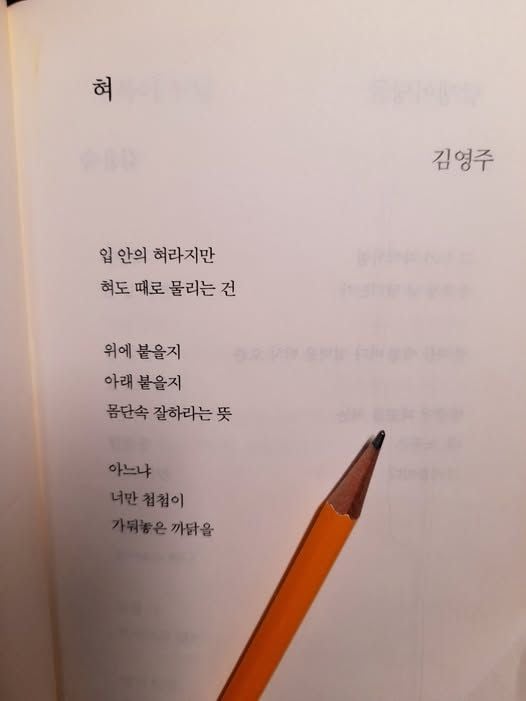 사진 설명이 없습니다.