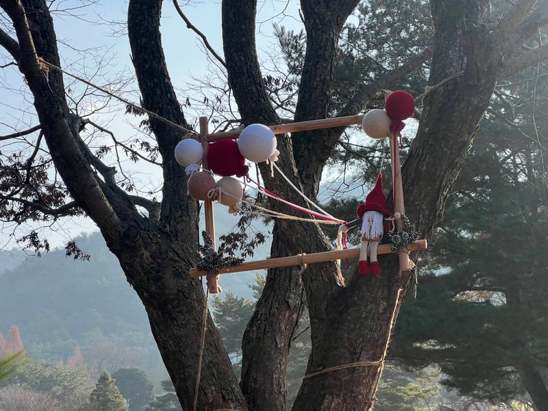 미동산수목원 나무털옷 전시-2