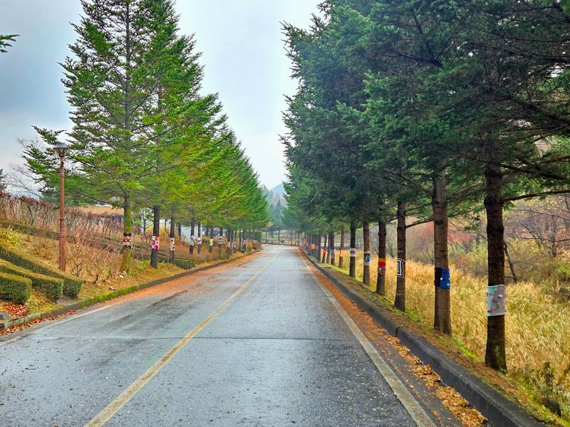 미동산수목원 나무털옷 전시-3