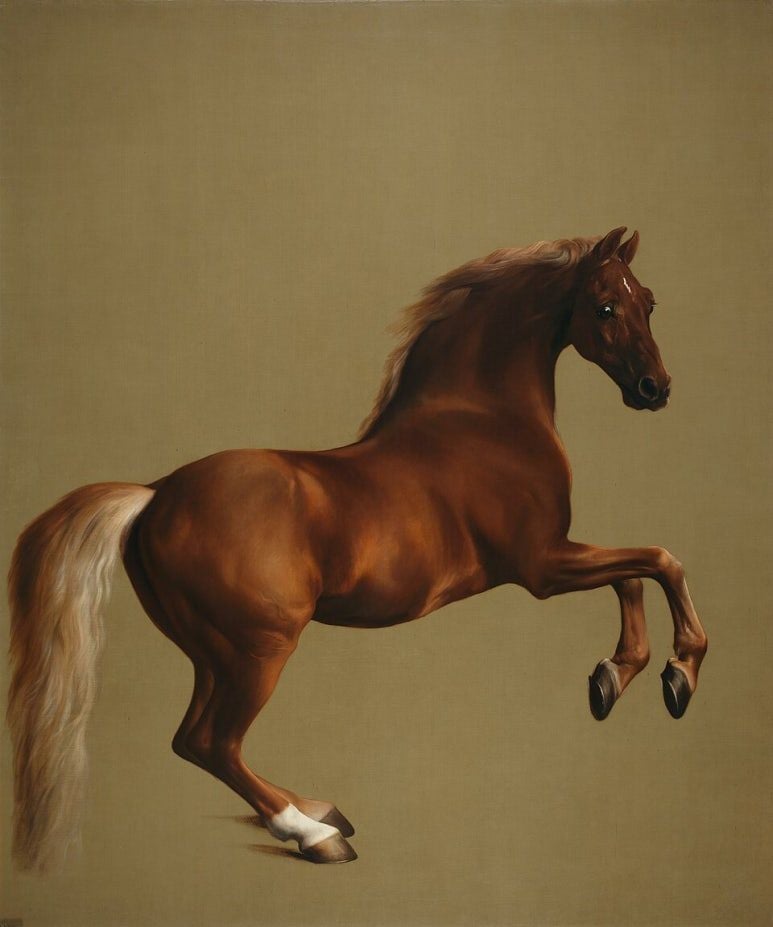 휘슬 재킷, 조지 스터브스, 1762년, 292 x 246cm