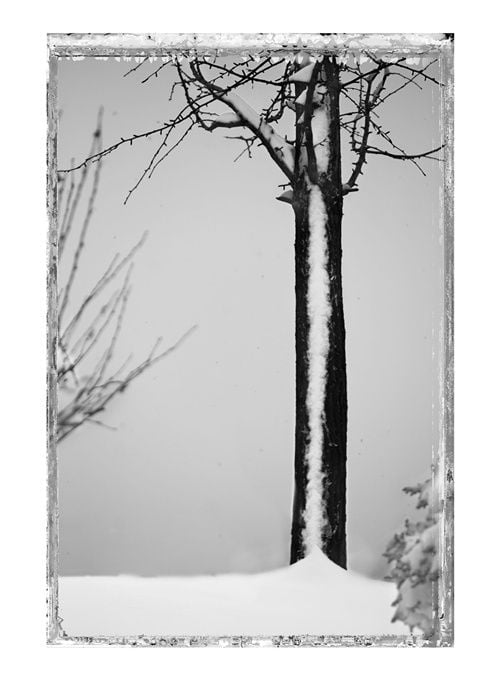 THE ONE AND ONLY DAY THE SNOW STAYED 2010. 이미지 토포하우스