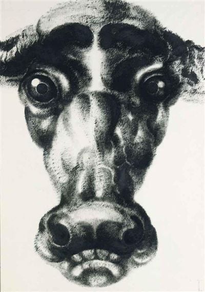 소, 타완 투차니 1989년, 80 x 112 cm 