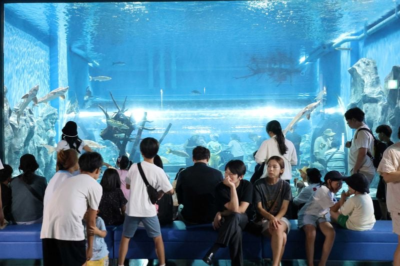  충북아쿠아리움