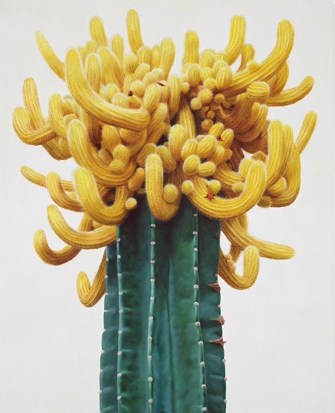 Cactus No.69 , 이광호, 2011년, 62.1×130.3cm / 2011
