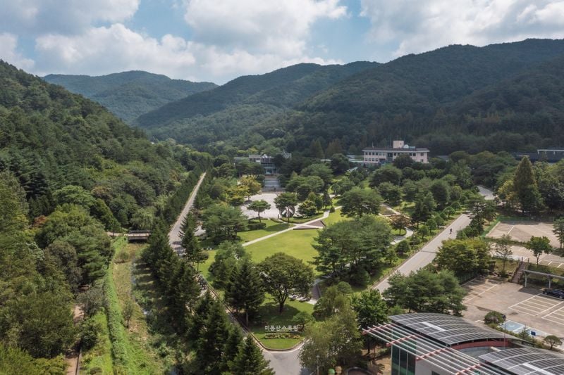 미동산수목원 전경