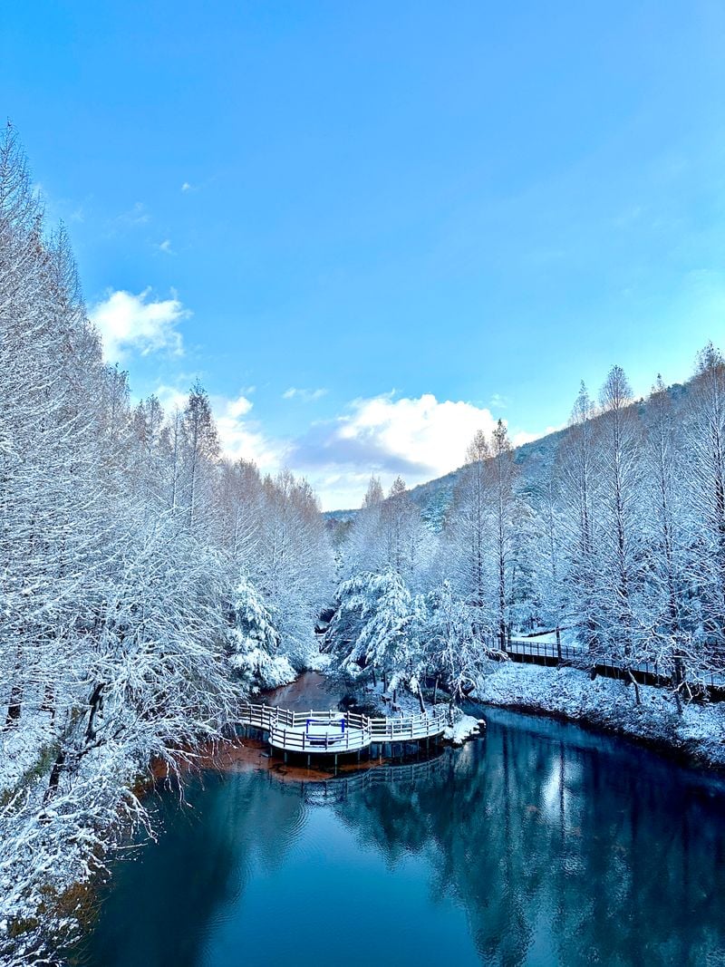 미동산수목원 설경