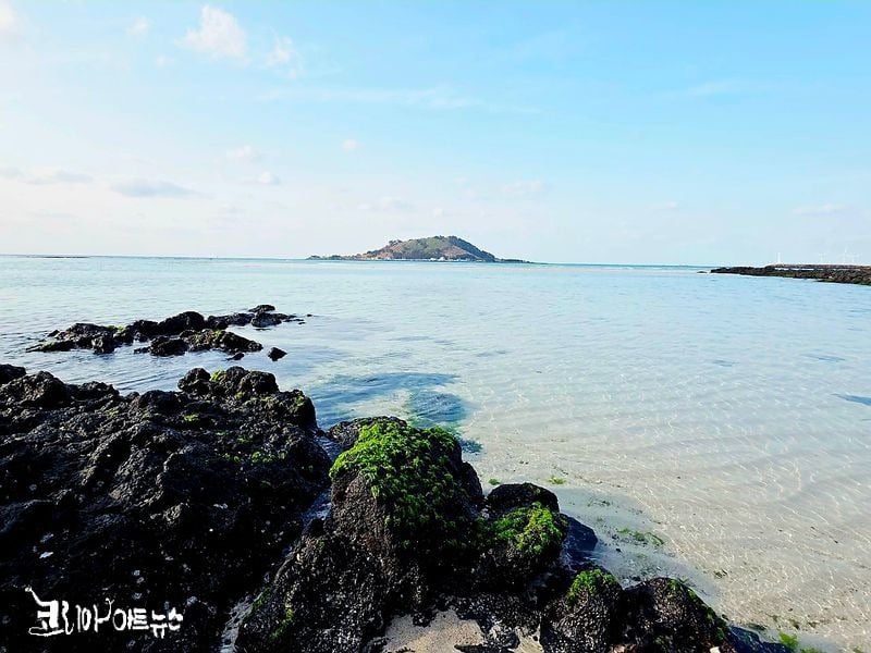 섬은 왜 짤까/고성기사진:강영임기자