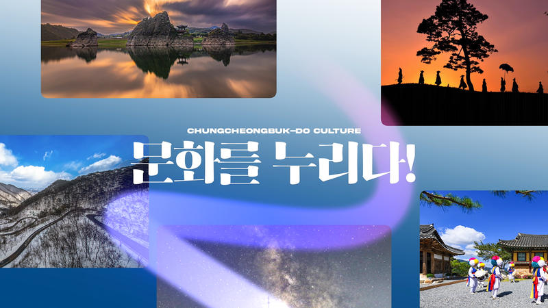 충북 미디어 갤러리 영상 사진