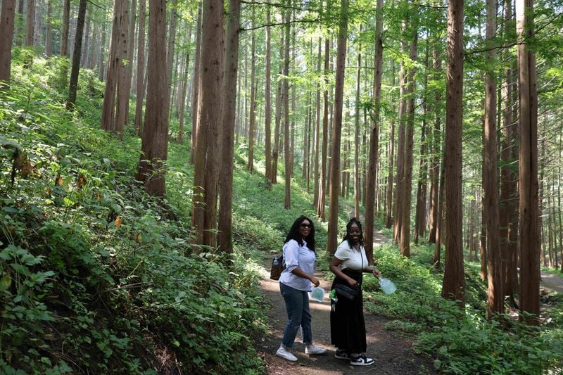 옥천 화인산림욕장