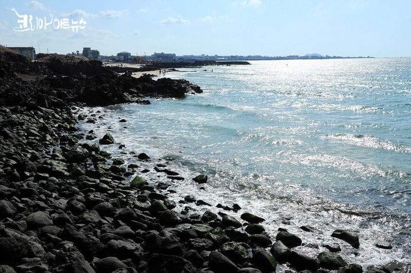 애월바다 _ 이정환 시인