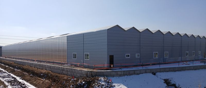 스마트팜 원예단지 전경