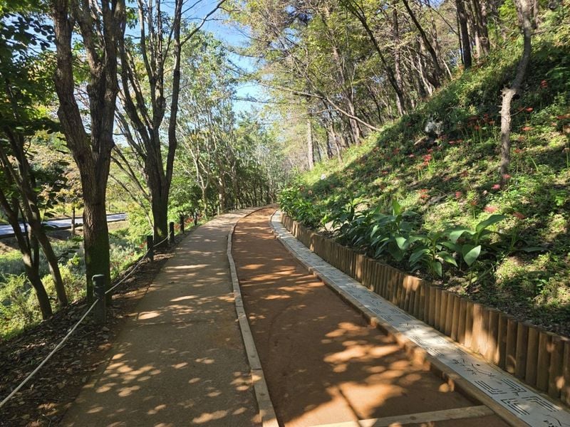 미선향 황톳길 전경