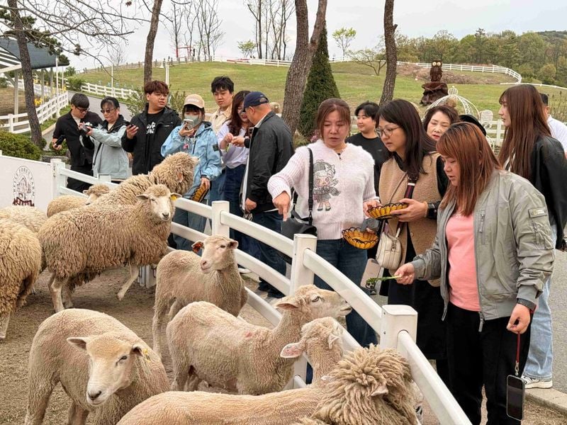 대만 여행사 초청 팸투어 및 B2B 상담회 현장사진-1