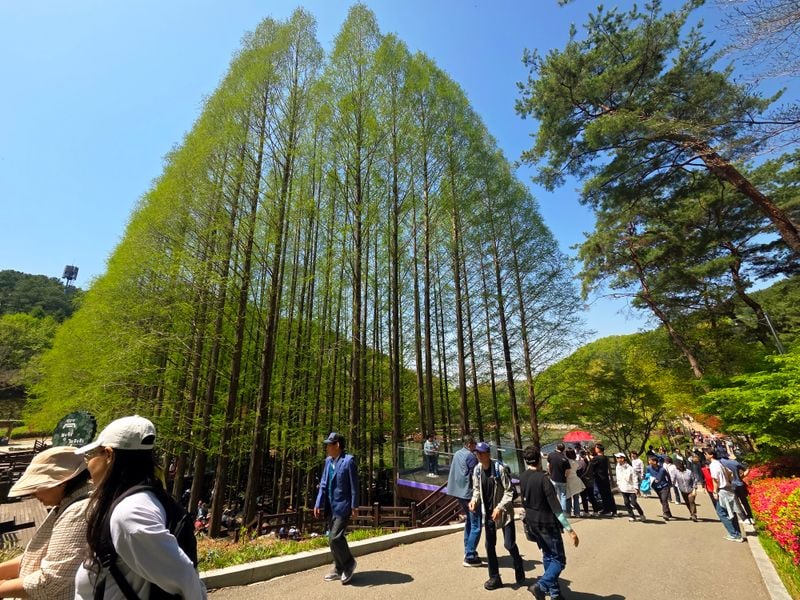 청남대 영춘제-2