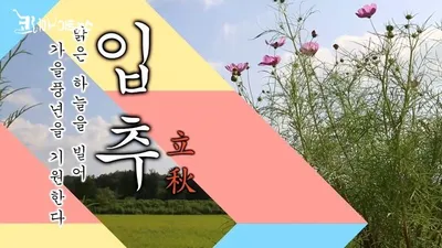 [KAN: 옴니버스 아트] 윤보영 시인의 <입추>, 그리고 계절 너머의 감성의 미학
