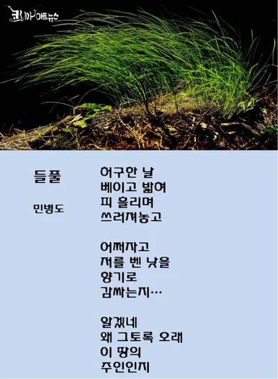 [김강호의 시조 아카데미 19] 민병도의 "들풀"