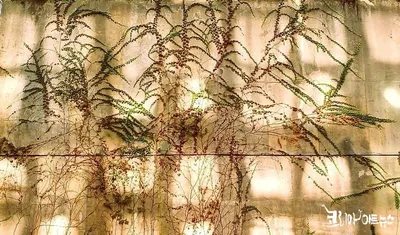 [KAN: FunnyCut] 담쟁이가 그린 그림