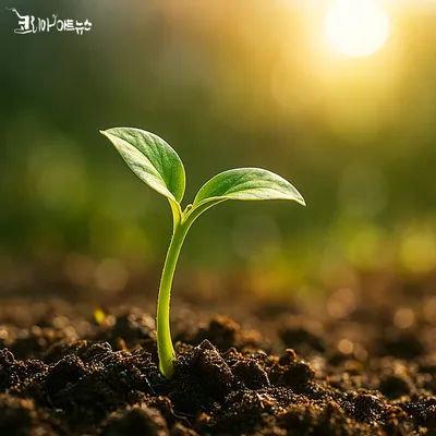 [이승하의 하루에 시 한 편을 242] 박○○의 "새싹"