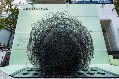 머리카락을 예술로 말하다