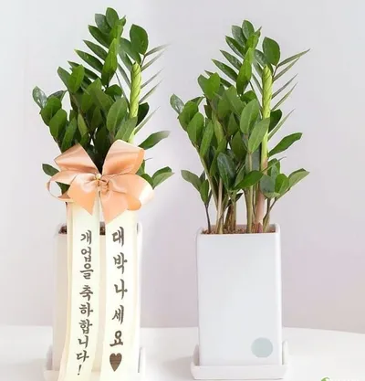 [김영희의 수필 향기] 살아있어 줘서 고마워