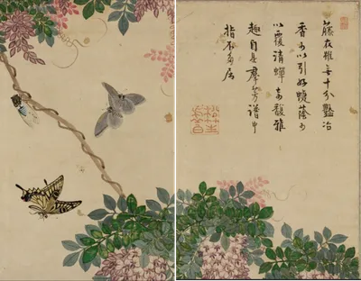 [토마스의 그림이야기 25 ]   화접쌍폭도_남계우