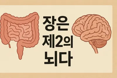 [닥터휘의 K-메디 건강미학 13 ]  장(腸) 건강이 우리의 생명력의 근원이다