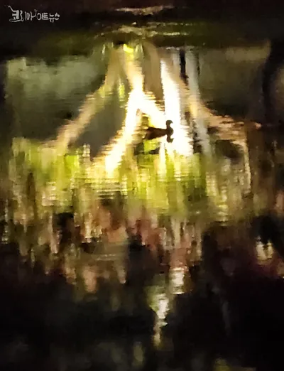 [디카시] 양향숙의 "밤의 유화"