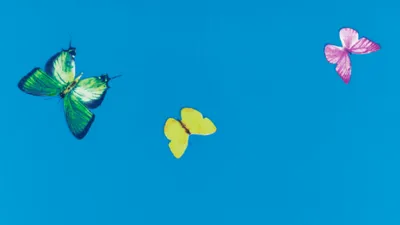 [토마스의 그림이야기 26]  꿈 _ 데미안 허스트