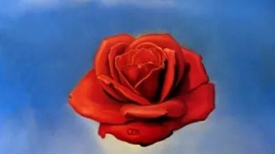 [토마스의 그림이야기 28]  명상하는 장미 _ 살바도르 달리