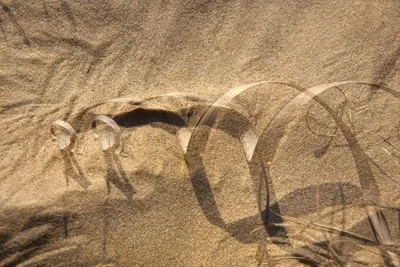 최경자 사진전 《기억하는 풍경》 — 생태의 시간, 빛의 흔적을 기록하다