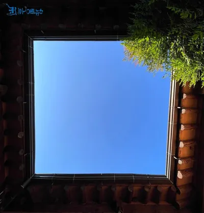 [홍영수의 세상보기]  멍때리는 생각에 따귀를 때려라