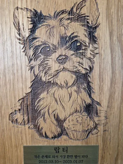 [이승하의 하루에 시 한 편을 279] 권숙월의 "영심이 꽃밭"