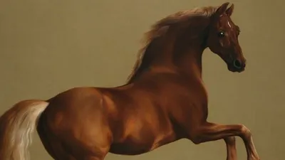 [토마스의 그림이야기 33]  휘슬 재킷 _조지 스터브스