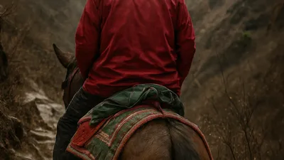 [이승하의 하루에 시 한 편을 326] 조광호의 "차마고도"